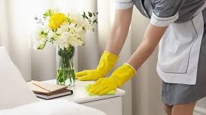 PERSONAL DE CASAS PARTICULARES. RECIBOS DE SUELDOS.
